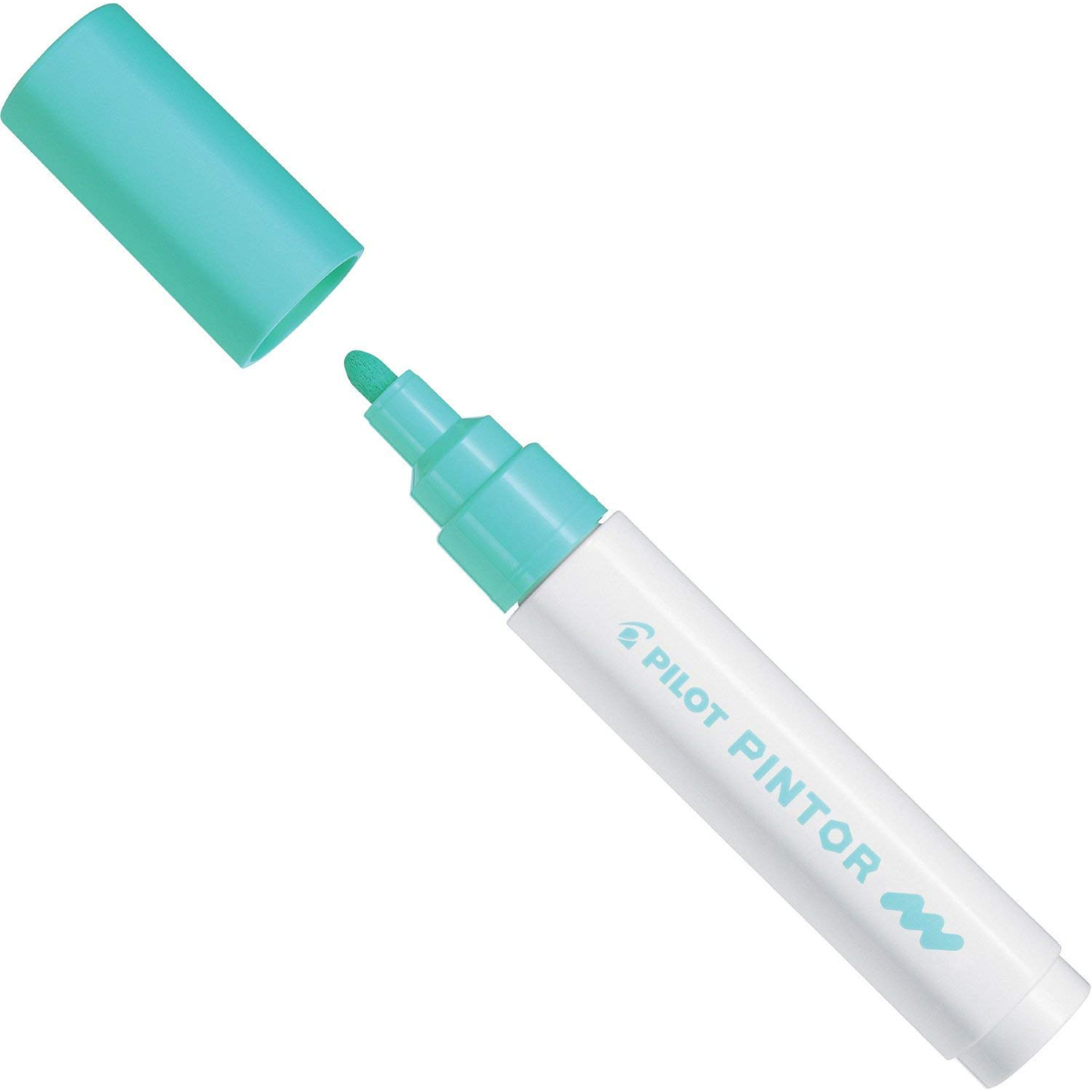 PENNARELLO PILOT PINTOR M 1.4 MM. SW-PT-M-PG VERDE PASTELLO 002371