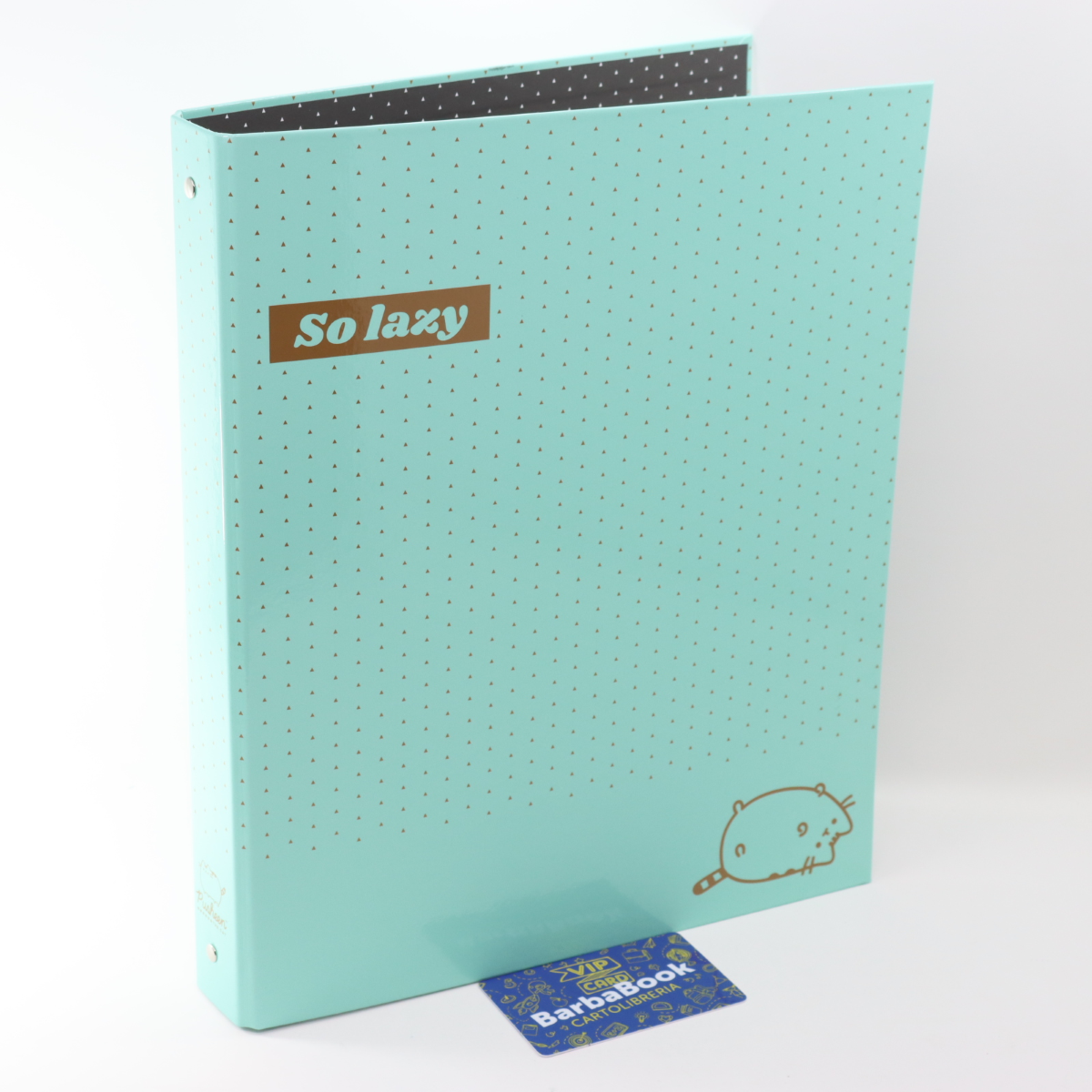 RACCOGLITORE A4 4 ANELLI PUSHEEN SPARKLING GOLD VERDE ACQUA