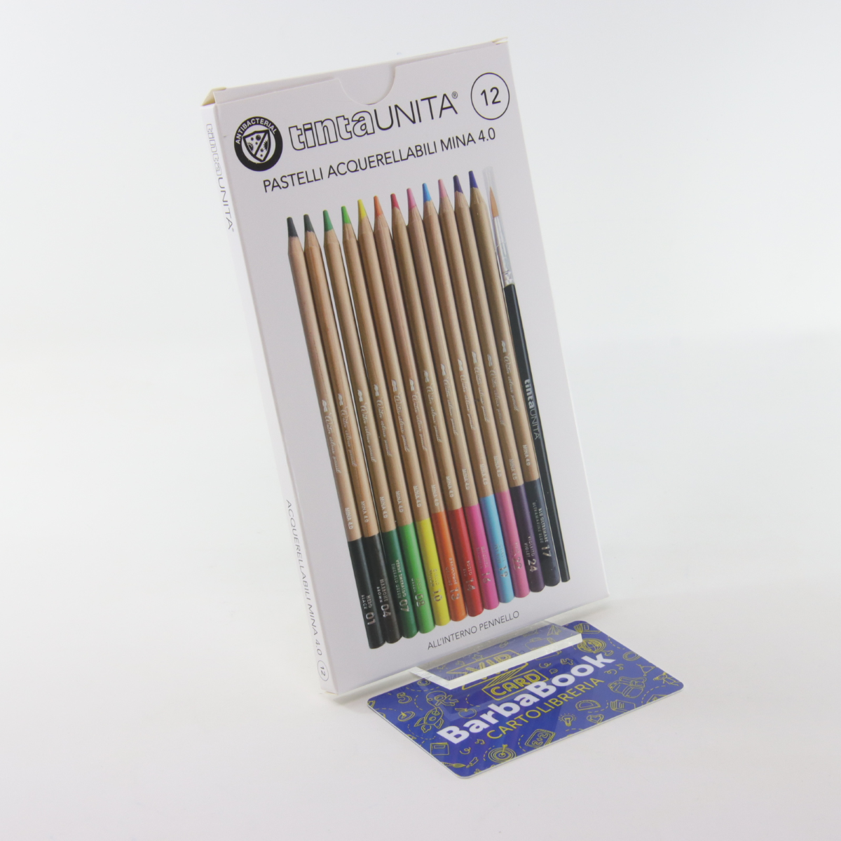 PASTELLI TINTAUNITA ACQUARELLABILI MINA 4.0 12 COLORI ART. 49730