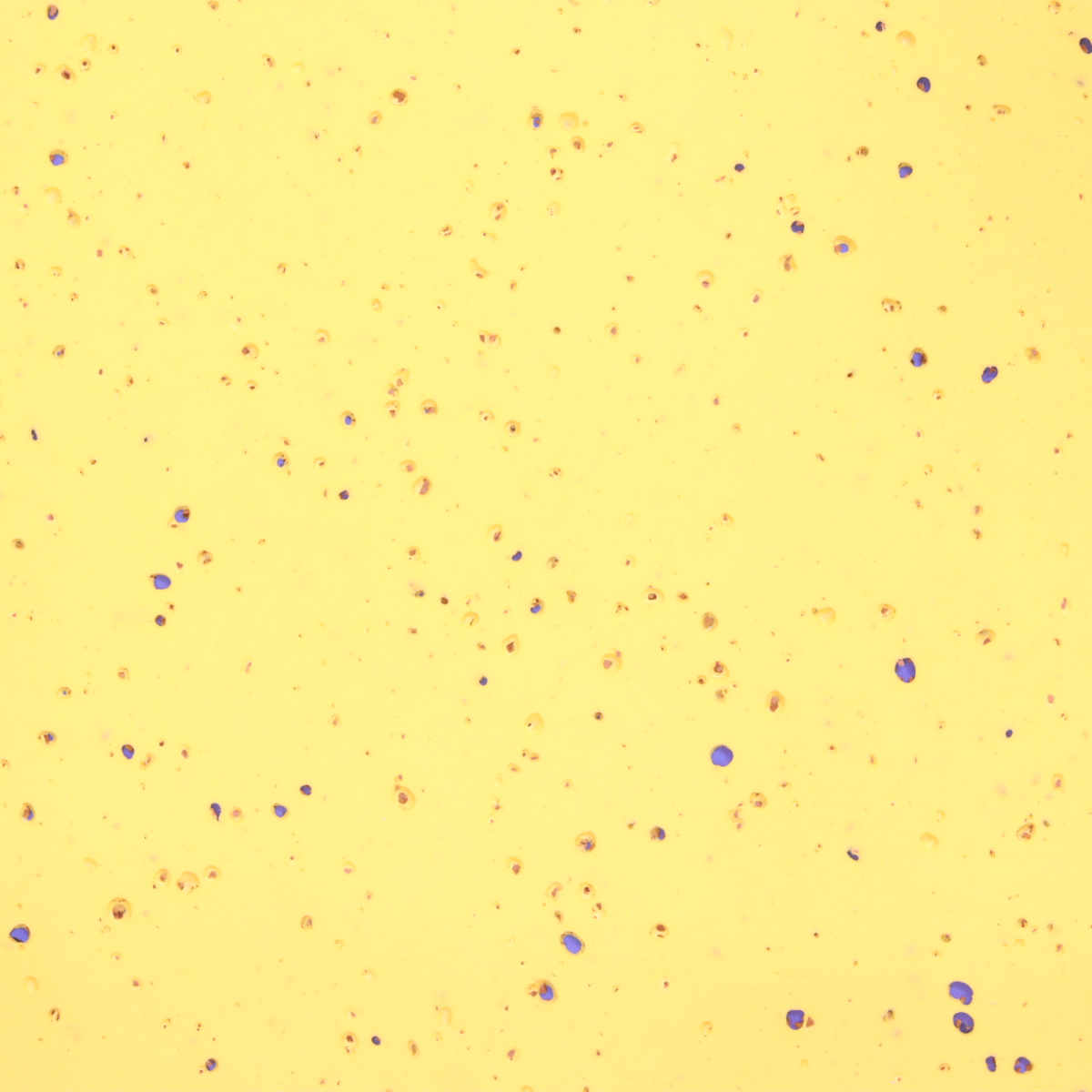MOOSGUMMI CM. 40 X 60 BUCHERELLATO GIALLO