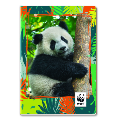 QUADERNO WWF GR.80 ART. 603