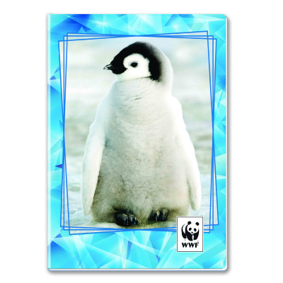 QUADERNO WWF GR.80 ART. 603