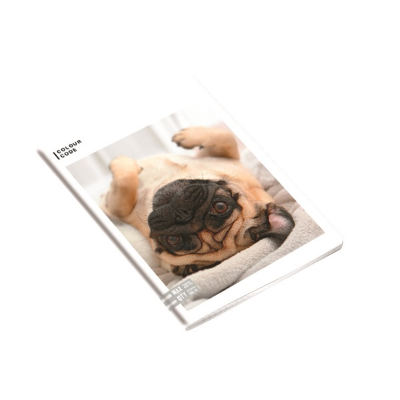 MAXI SEVEN GR.100 MAX QTY COLOUR CODE ANIMALS