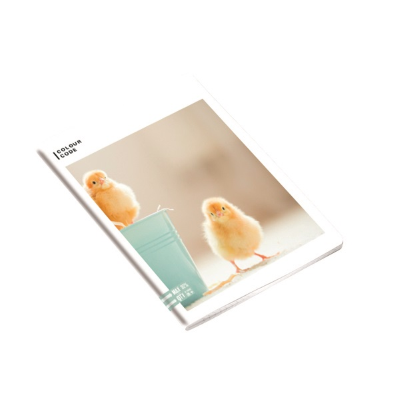 MAXI SEVEN GR.100 MAX QTY COLOUR CODE ANIMALS