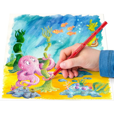 PASTELLI ACQUERELLABILI NORIS CLUB STAEDTLER 12 COLORI 144 10NC12