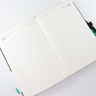 AGENDA GIORNALIERA CARTOMANIA EASY PLAN 2023 CM. 12 X 18,5 VERDE ACQUA