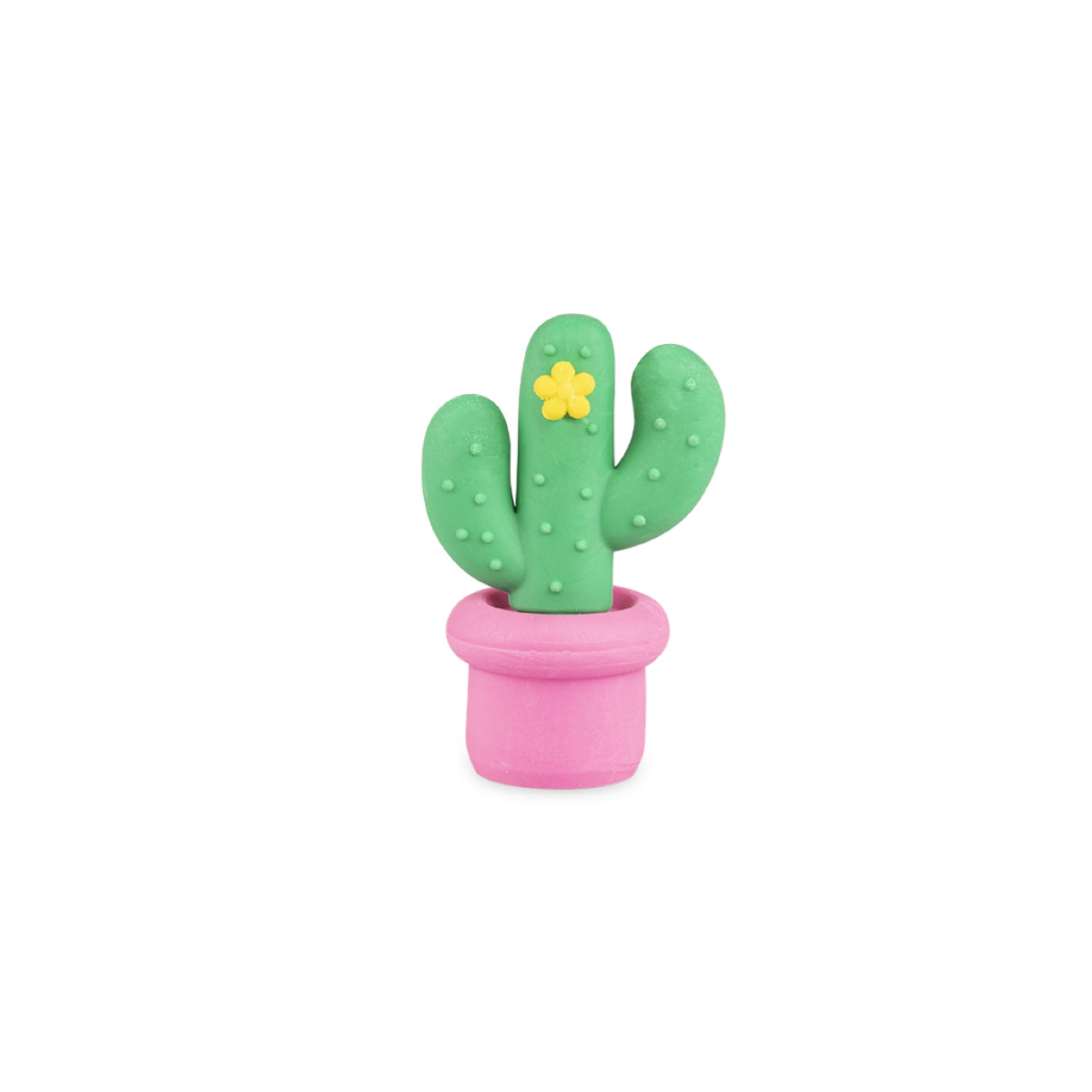 SET 4 GOMME CACTUS COLLECTION COLOURBOOK