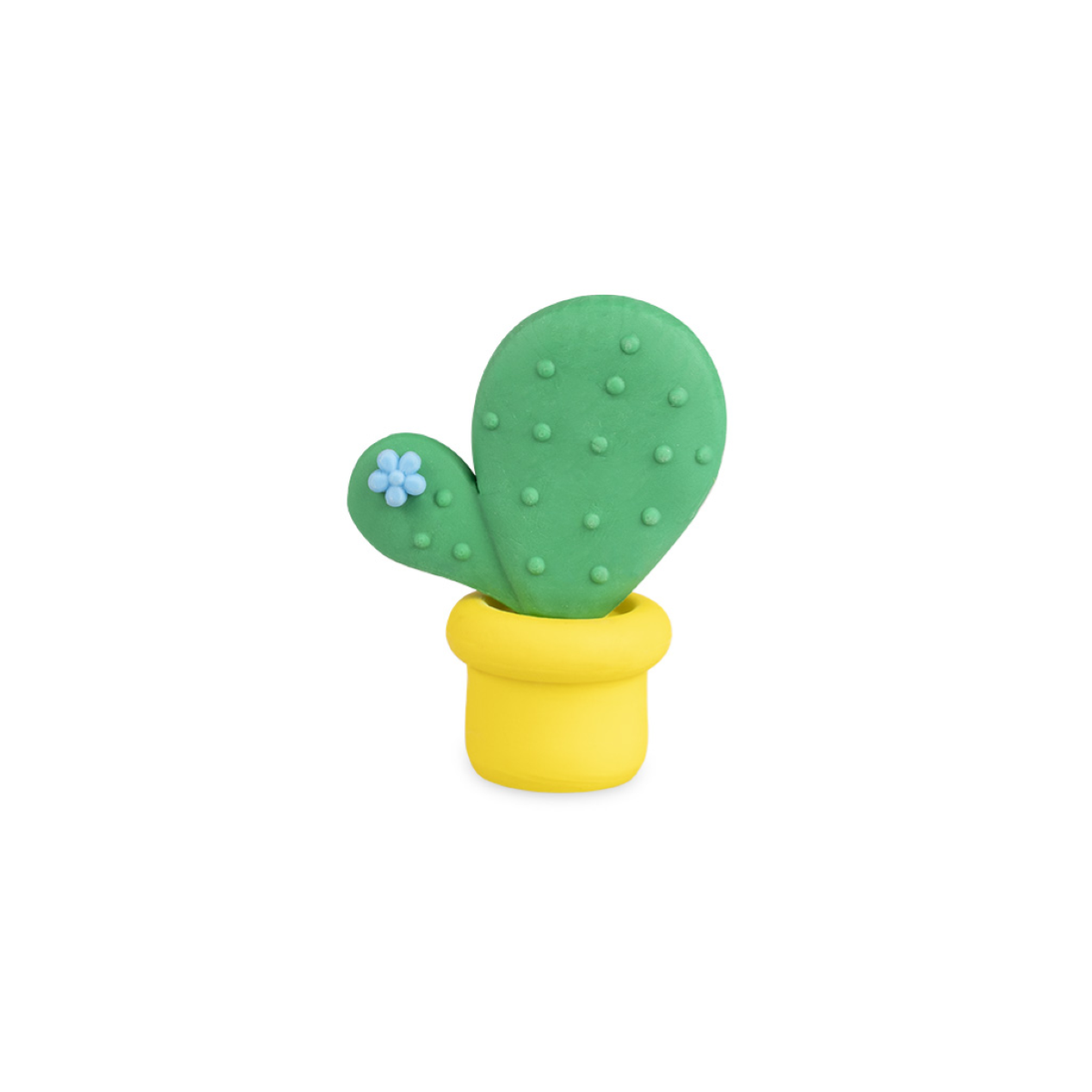SET 4 GOMME CACTUS COLLECTION COLOURBOOK
