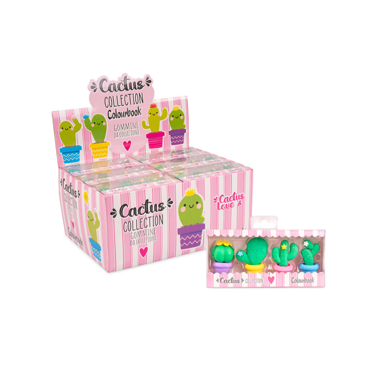 SET 4 GOMME CACTUS COLLECTION COLOURBOOK