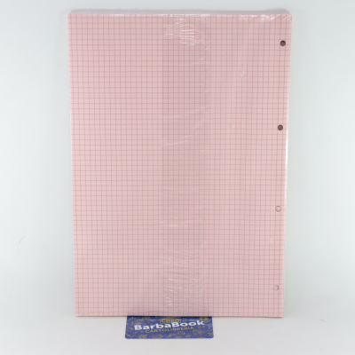 RICAMBIO A4 RINFORZATO FG.40 GR.80 BLASETTI ROSA 5M