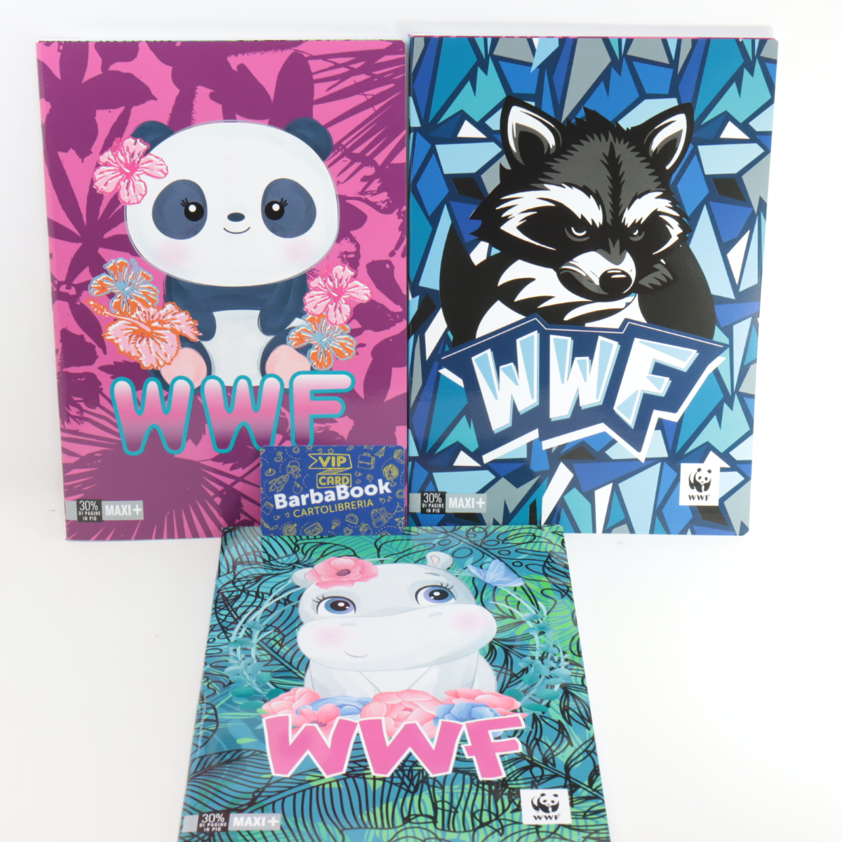 MAXI WWF ILLUSTRATO GR.100 MAXI+ ART.719 10M