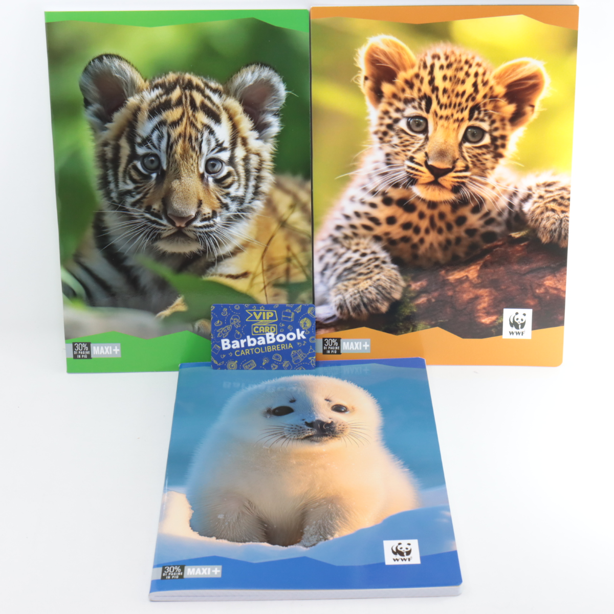 MAXI WWF FOTOGRAFICO GR.100 MAXI+ ART.719 5M
