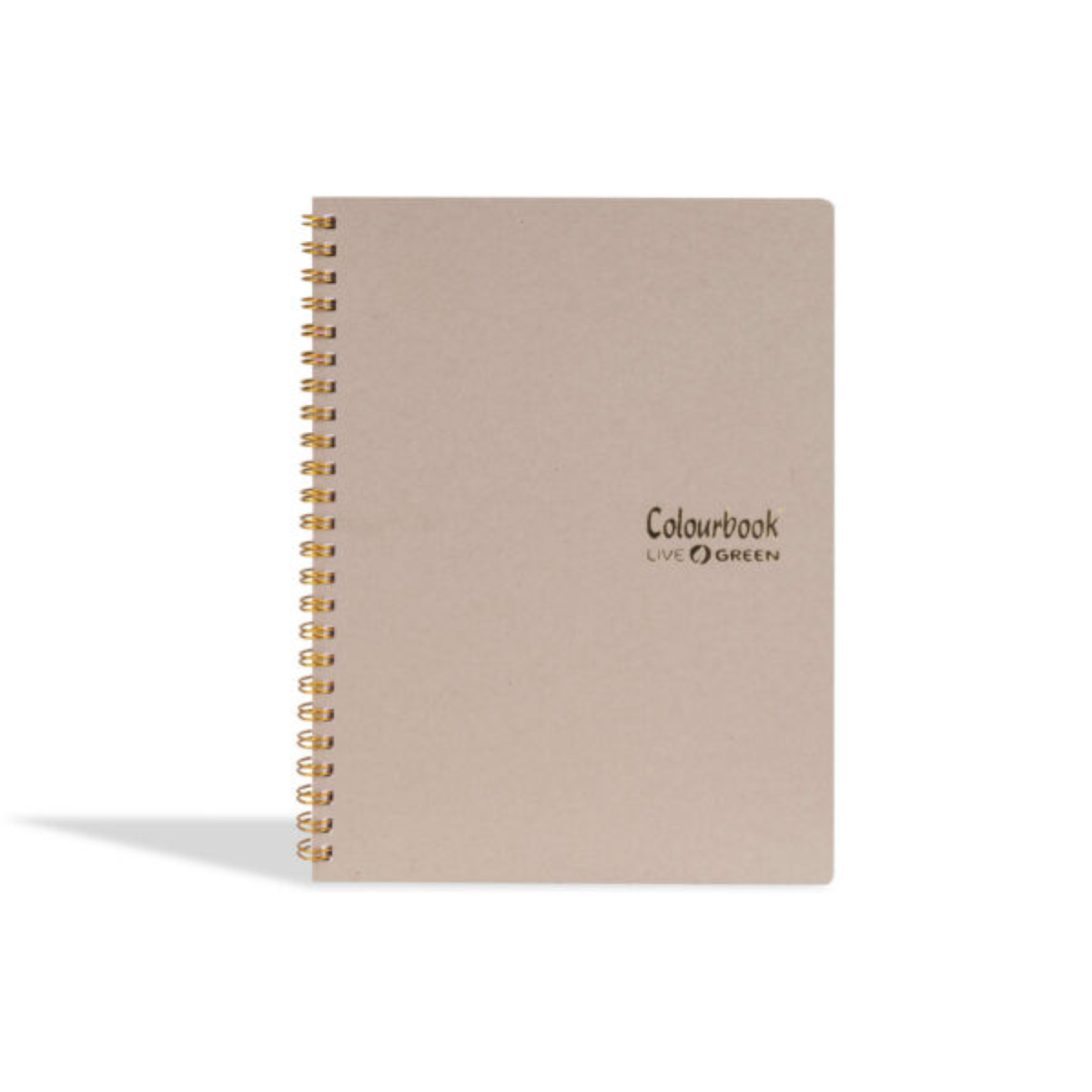 MAXI SPIRALATO A4 80 FOGLI LIVE GREEN COLOURBOOK CALCAIRE GRIGIO 5M
