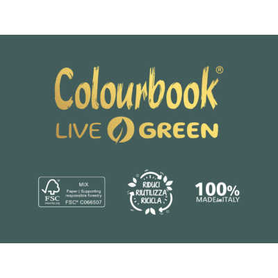 MAXI SPIRALATO A4 80 FOGLI LIVE GREEN COLOURBOOK CALCAIRE GRIGIO 5M