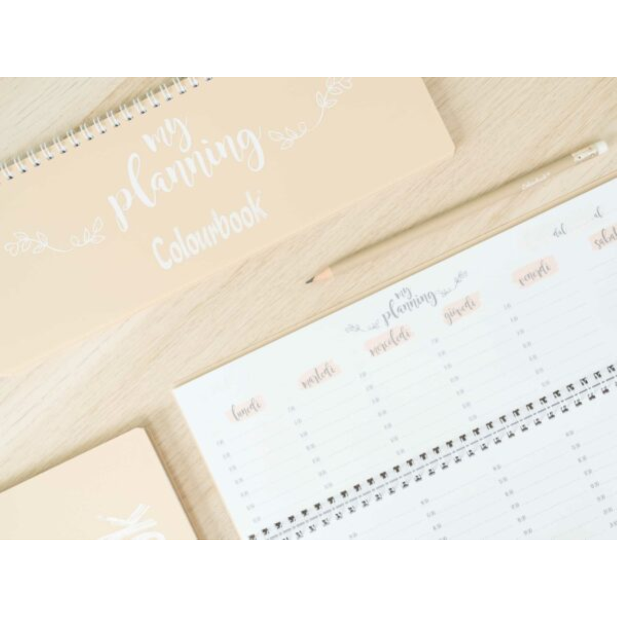 PLANNING PLANNER SETTIMANALE PERPETUO PASTEL CM.29 X 13 COLOURBOOK BEIDGE