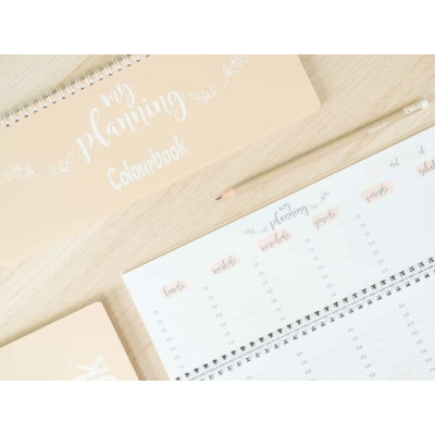 PLANNING PLANNER SETTIMANALE PERPETUO PASTEL CM.29 X 13 COLOURBOOK BEIDGE