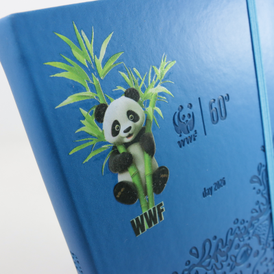 AGENDA DAY COMIX WWF LARGE 2026 CM. 21,5 X 13,5 ART.74744AZ