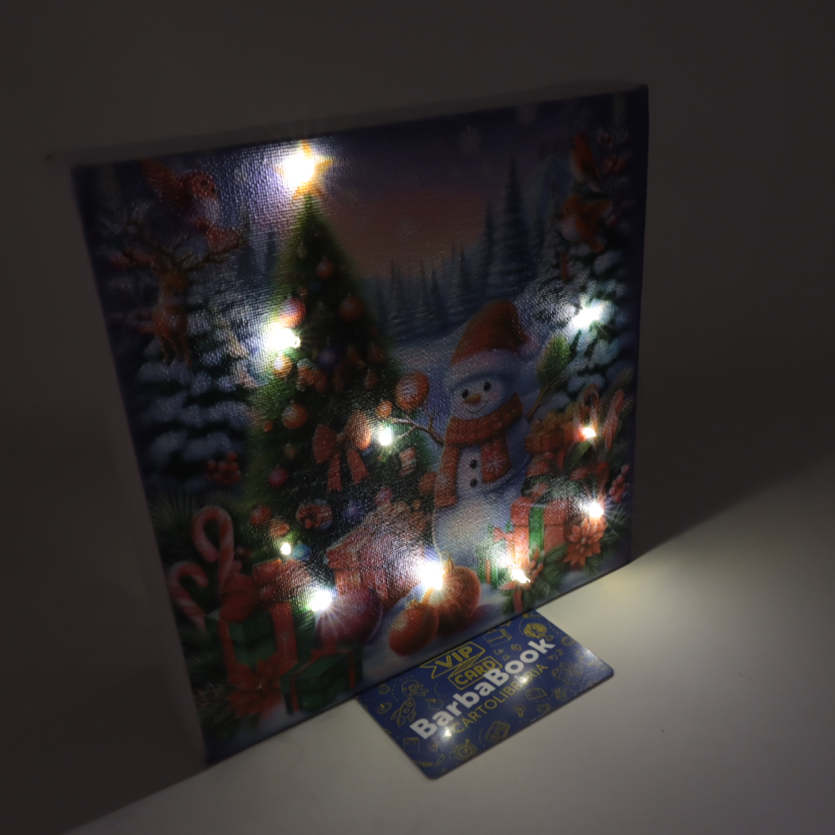 TELA NATALE CON LUCI CM. 20 X 20 ART. 9903-04