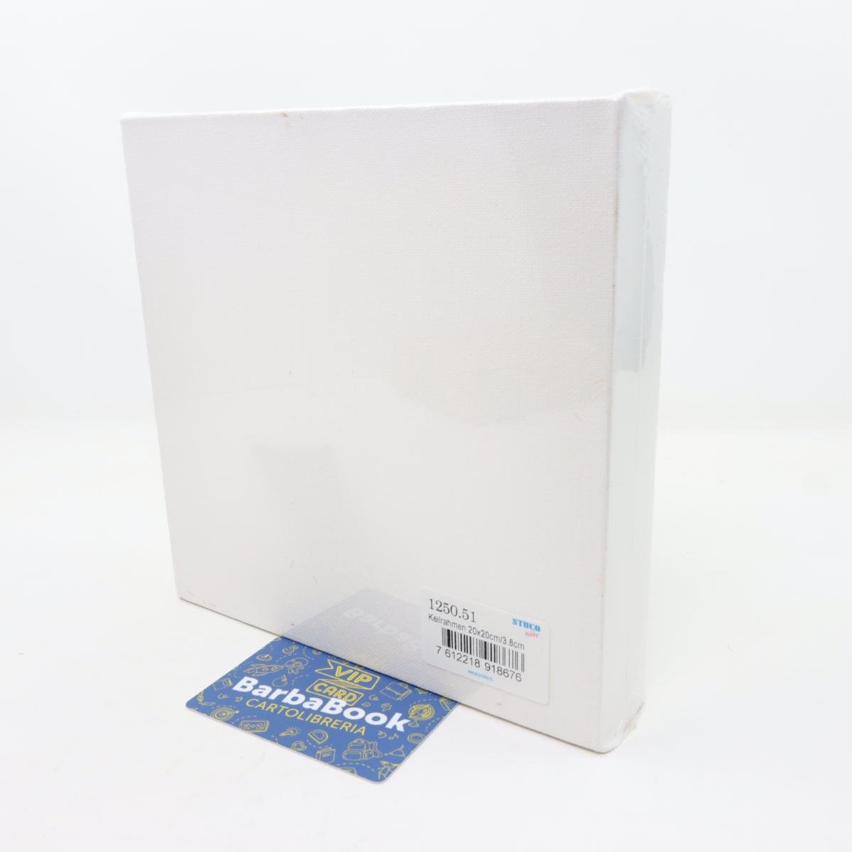 TELA DA PITTURA CM. 20 X 20 ART. 9903-04 STAFIL