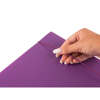 CARTELLINA CON ELASTICO 3 LEMBI 25 X 35 COLOURBOOK WILD COL24162