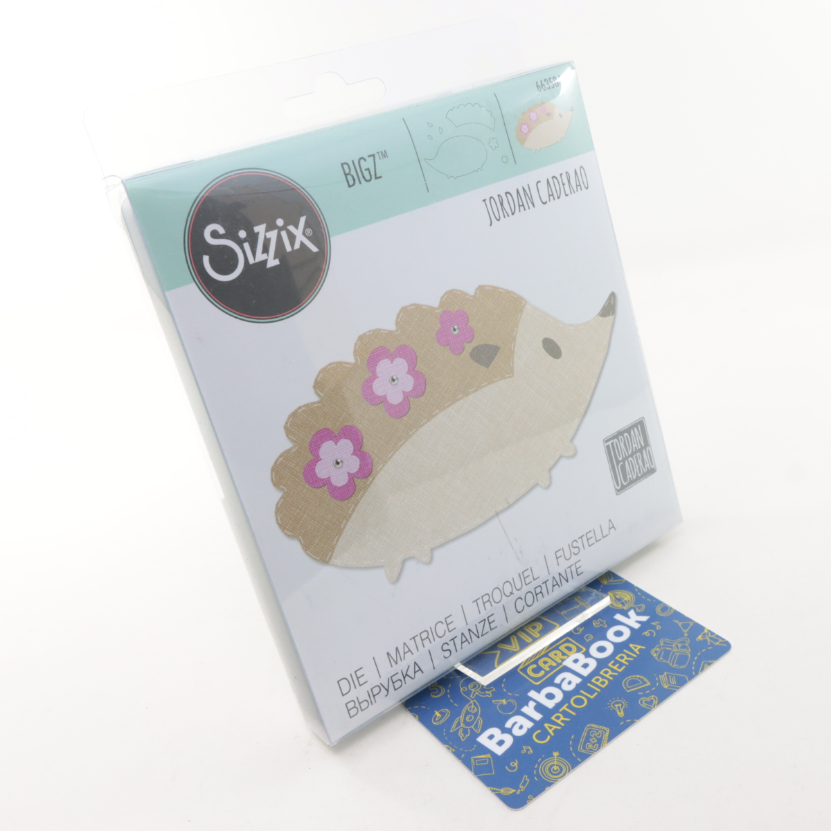 FUSTELLA SIZZIX 663584 RICCIO BIGZ