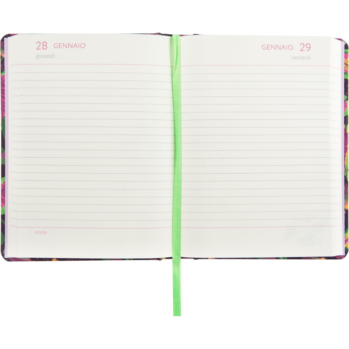 AGENDA GIORNALIERA MINI TURNOWSKY 2026/27 BIRDS